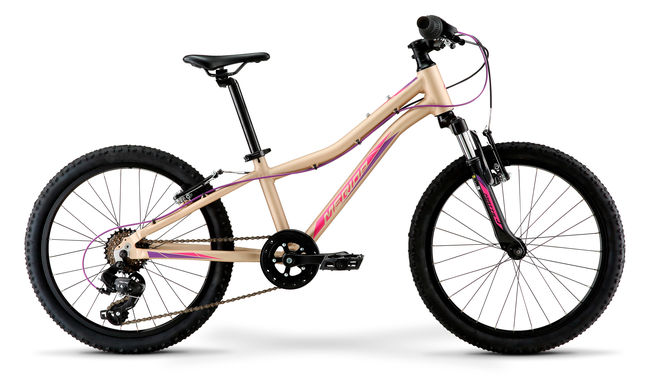MATTS J. 20  ECO