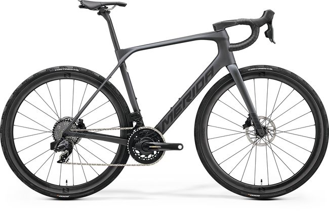 scultura endurance 4000 price