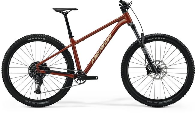 BIG TRAIL 500