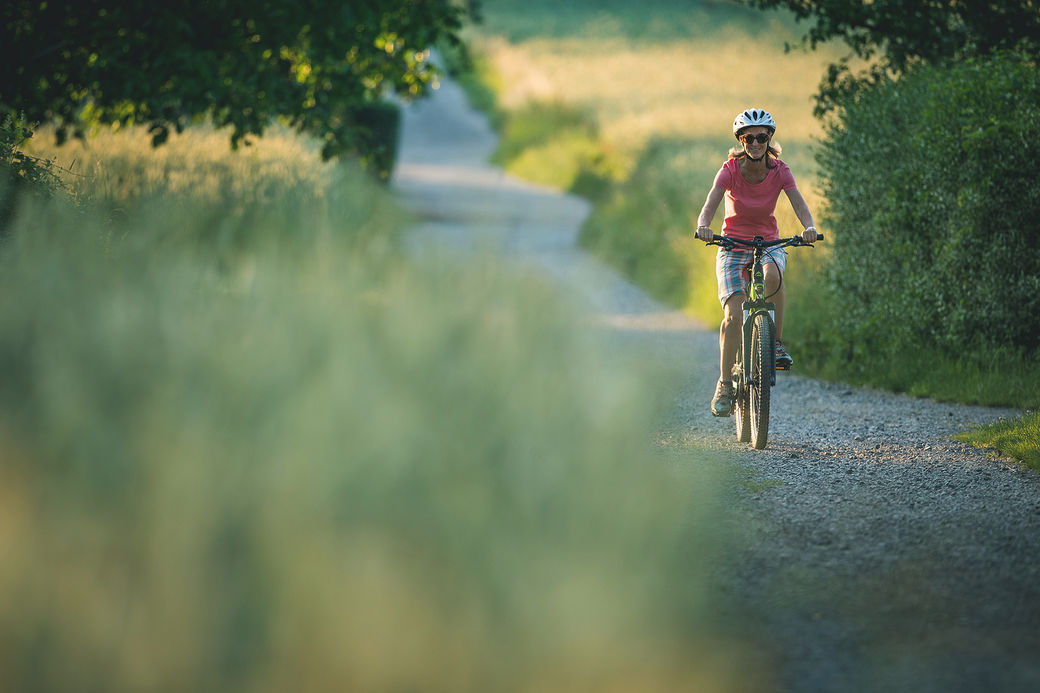 trekking city bike